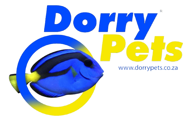 Dorry Pets